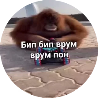 🌟