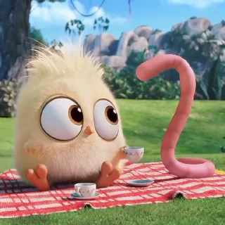 🐣