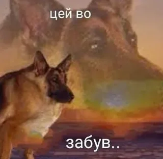 🐕