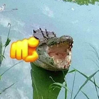 😂