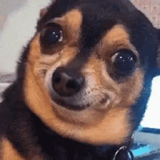 😈
