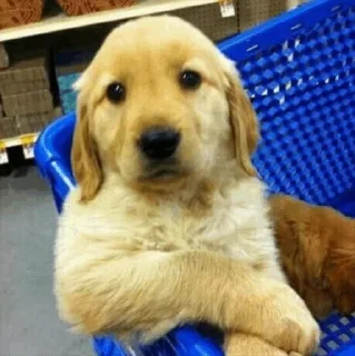 😮