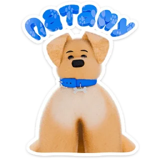 🐶