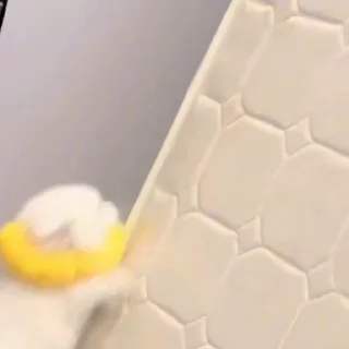 🐈