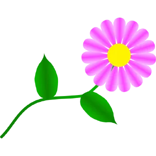 🌸
