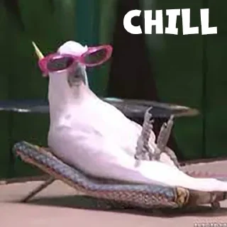 😎