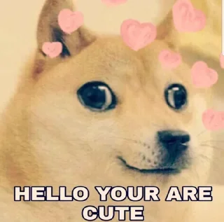 🖤