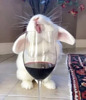 🍷