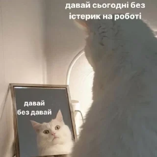 😭