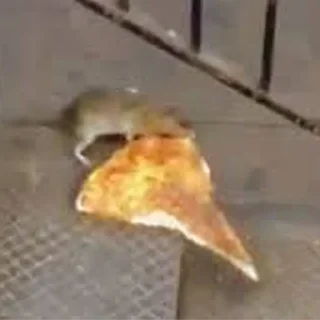 🍕