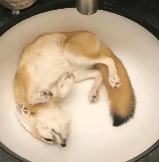 ⭕