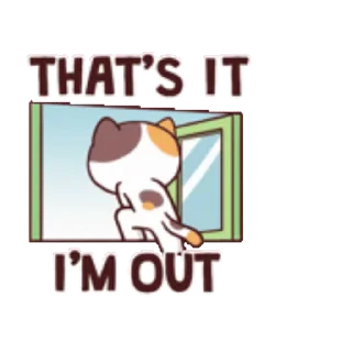 ⭐