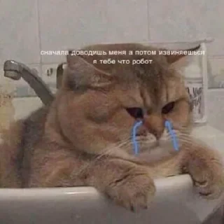 😢