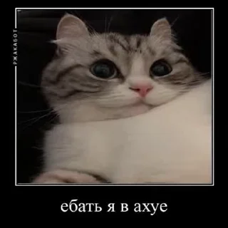 😱