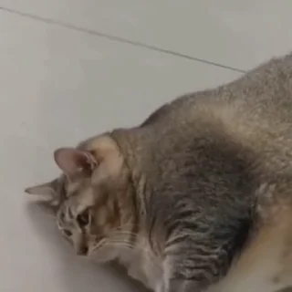 🙄