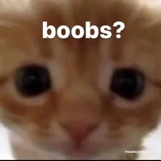 🍒