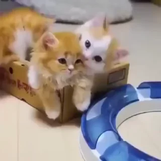 😂