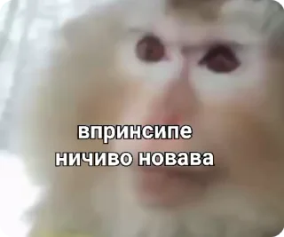 😐