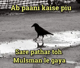 🐧