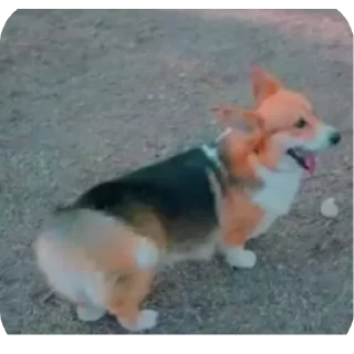 🚗