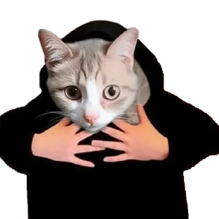 😲