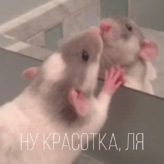 😘