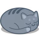 💤