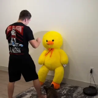 🌟