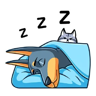 😴