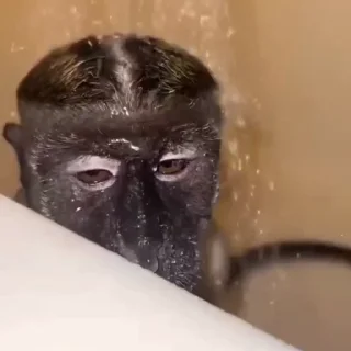 😵‍💫