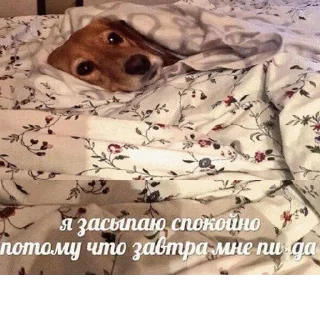 😒