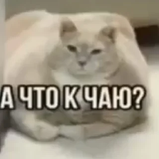 ☕