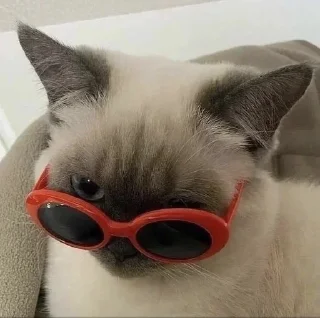 😎