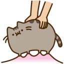 🐱