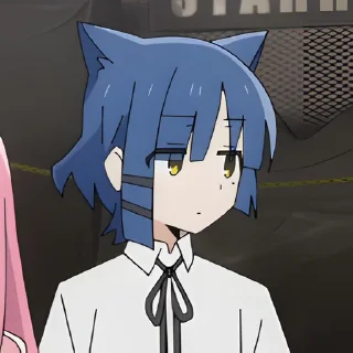 🐱