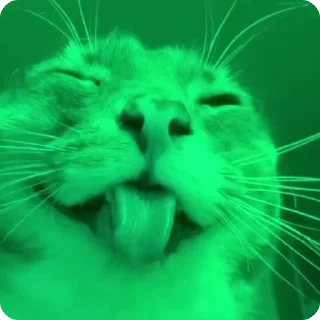 🍏