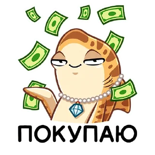 💰