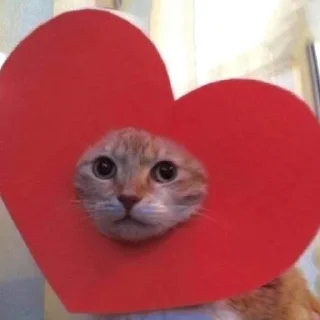 ❤