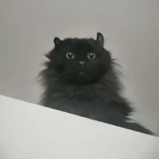 😳