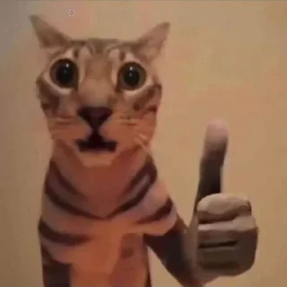 🫣