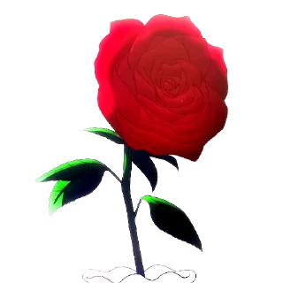 🌹