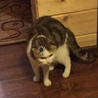 🤨