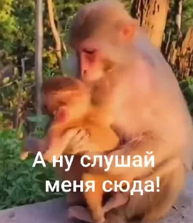 🤩