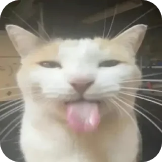 😛