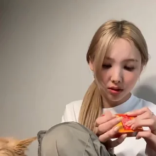 🐰