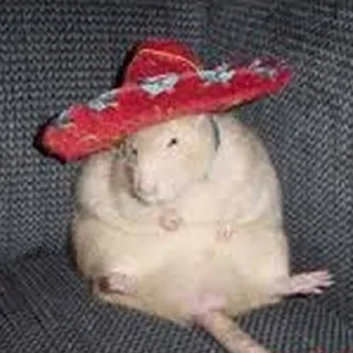 🇲🇽
