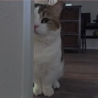 💗