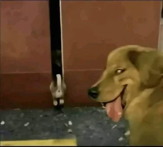 😏