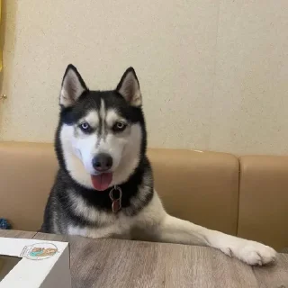 😎
