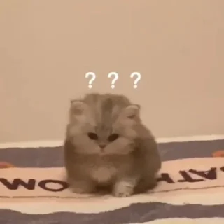 ❔